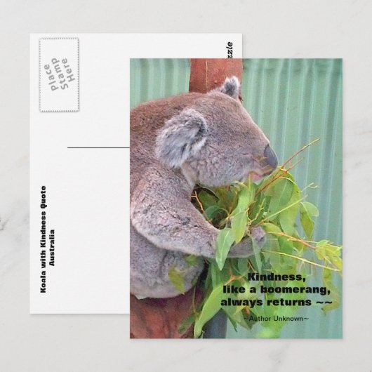 Koala Kindness Quote Postcard Postkarte (Vorne/Hinten)