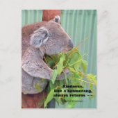 Koala Kindness Quote Postcard Postkarte (Vorderseite)