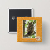 Koala Kitteh Button (Vorne & Hinten)