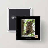 Koala Kitteh Button (Vorne & Hinten)