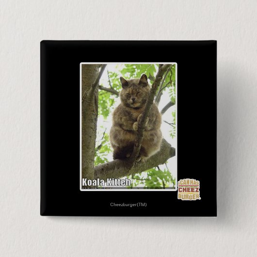 Koala Kitteh Button (Vorderseite)