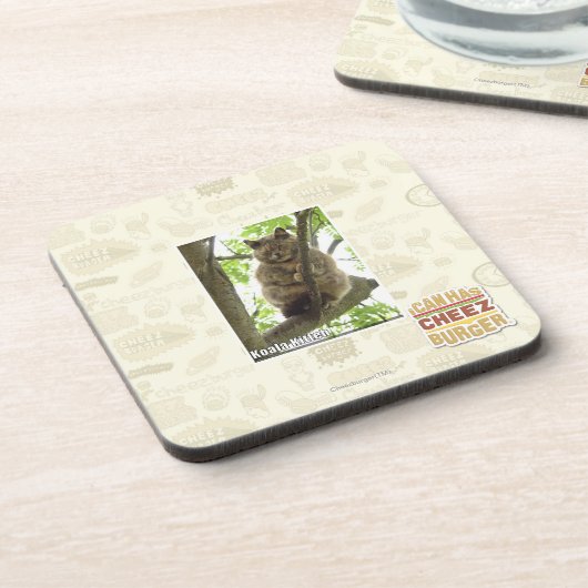 Koala Kitteh Getränkeuntersetzer (Linke Seite)