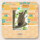 Koala Kitteh Getränkeuntersetzer (Vorderseite)