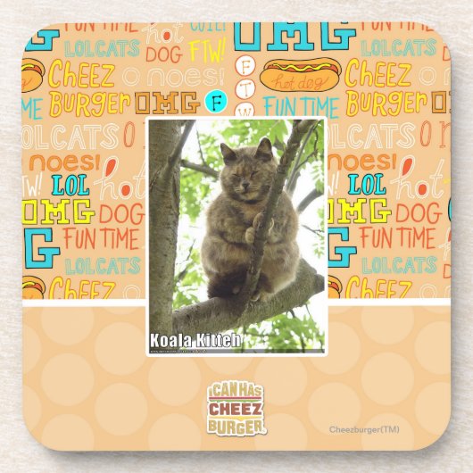 Koala Kitteh Getränkeuntersetzer (Vorderseite)