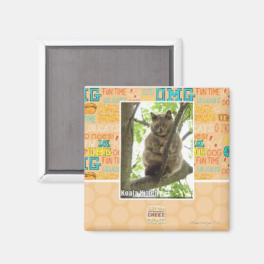 Koala Kitteh Magnet (Vorderseite/Rückseite)