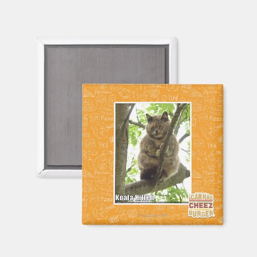 Koala Kitteh Magnet (Vorderseite/Rückseite)