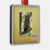 Koala Kitteh Ornament Aus Metall (Rechts)