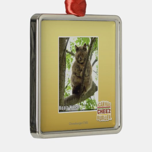 Koala Kitteh Ornament Aus Metall (Rechts)