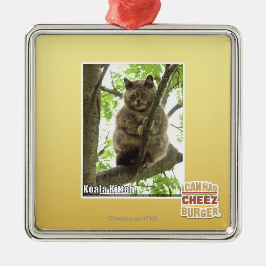Koala Kitteh Ornament Aus Metall (Vorne)