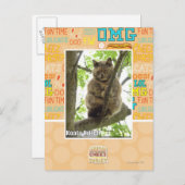 Koala Kitteh Postkarte (Vorne/Hinten)