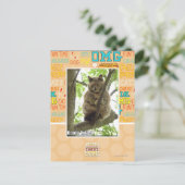 Koala Kitteh Postkarte (Stehend Vorderseite)