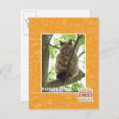 Koala Kitteh Postkarte (Vorne/Hinten)