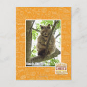 Koala Kitteh Postkarte (Vorderseite)