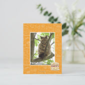 Koala Kitteh Postkarte (Stehend Vorderseite)