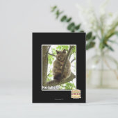 Koala Kitteh Postkarte (Stehend Vorderseite)