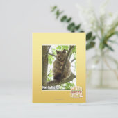 Koala Kitteh Postkarte (Stehend Vorderseite)