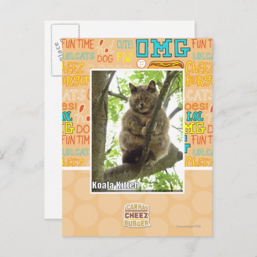 Koala Kitteh Postkarte (Vorne/Hinten)