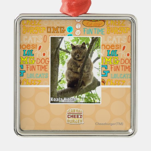 Koala Kitteh Silbernes Ornament (Vorne)