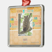 Koala Kitteh Silbernes Ornament (Links)