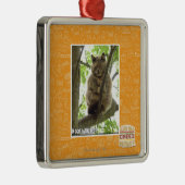 Koala Kitteh Silbernes Ornament (Rechts)