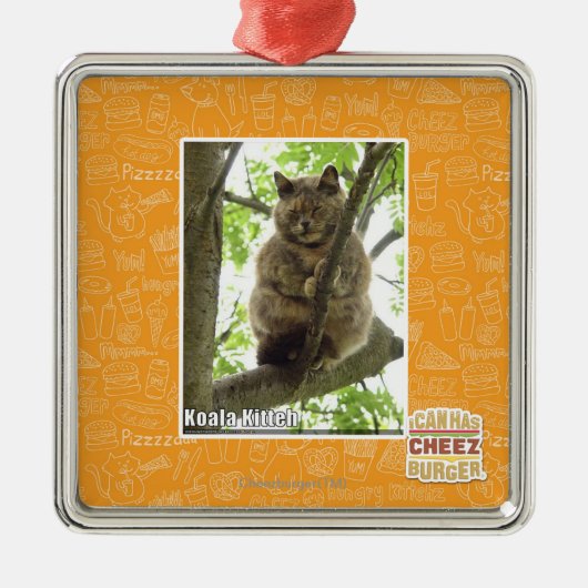 Koala Kitteh Silbernes Ornament (Vorne)