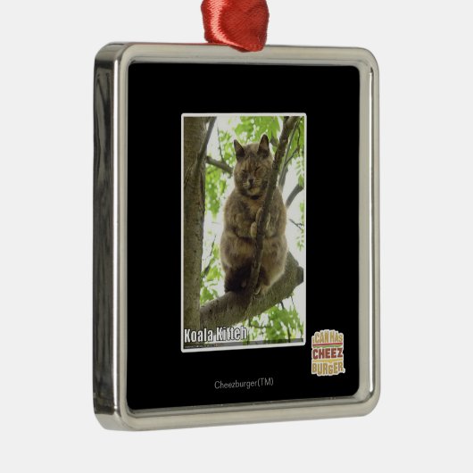 Koala Kitteh Silbernes Ornament (Rechts)