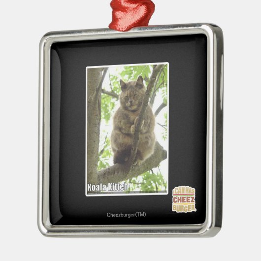 Koala Kitteh Silbernes Ornament (Links)