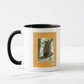 Koala Kitteh Tasse (Links)