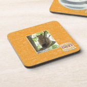 Koala Kitteh Untersetzer (Linke Seite)