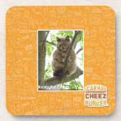 Koala Kitteh Untersetzer (Vorderseite)