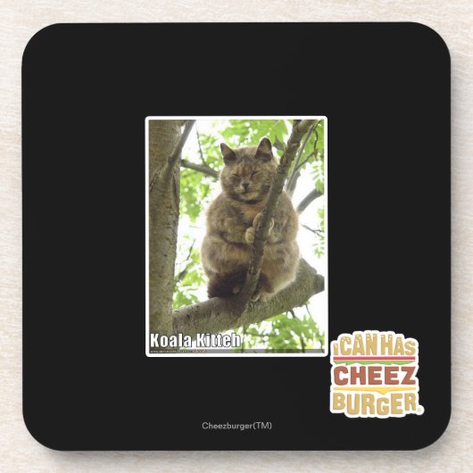 Koala Kitteh Untersetzer (Vorderseite)
