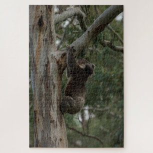 Koala Kletterbaum Australien, 1014 Stück Puzzle