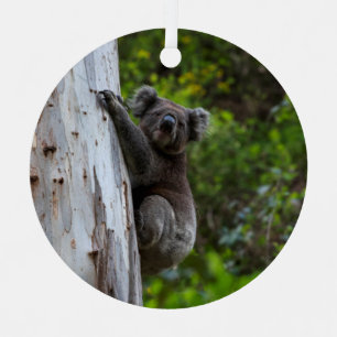 Koala Kletterbaum Australien Weihnachten Ornament Aus Metall