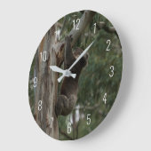 Koala Klettern in einem Baum Australien Große Uhr (Winkel)