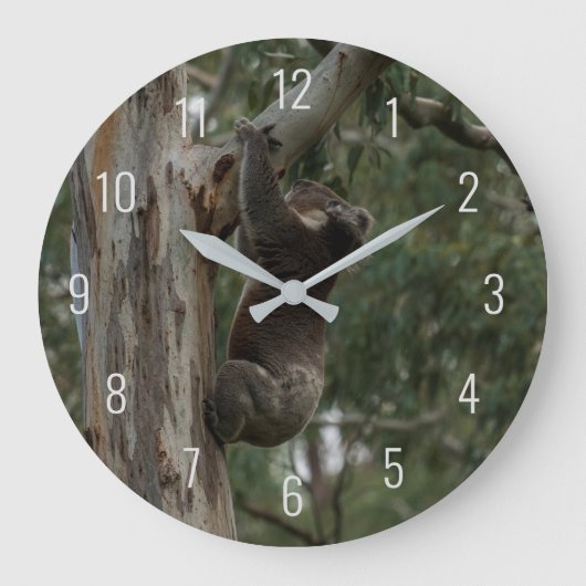 Koala Klettern in einem Baum Australien Große Uhr (Vorderseite)