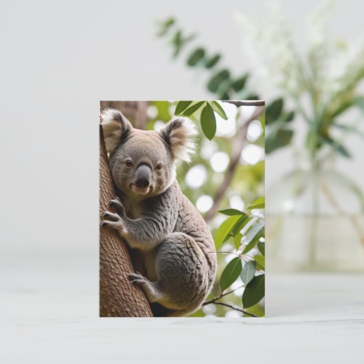 Koala Klettern Postkarte (Stehend Vorderseite)
