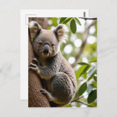 Koala Klettern Postkarte (Vorne/Hinten)