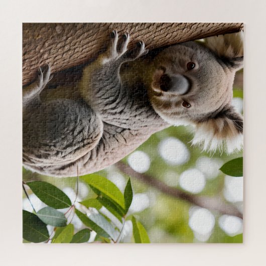 Koala Klettern Puzzle (Horizontal)