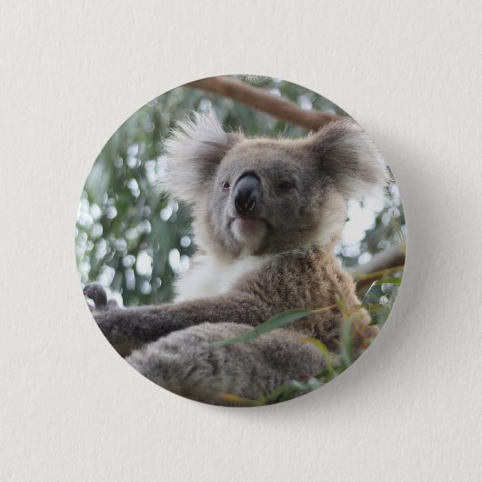 Koala-Knopf Button (Vorderseite)