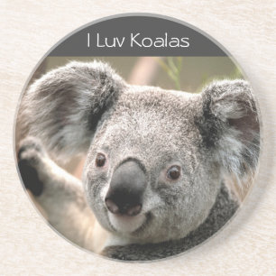Koala, Koala I Luv Getränkeuntersetzer