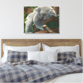 Koala Leinwanddruck (Insitu (Schlafzimmer))