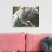 Koala Leinwanddruck (Insitu (Wohnzimmer))