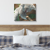 Koala Leinwanddruck (Insitu (Schlafzimmer))