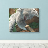 Koala Leinwanddruck (Insitu (Holzboden))