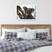 Koala Leinwanddruck (Insitu (Schlafzimmer))