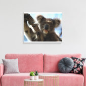 Koala Leinwanddruck (Insitu (Wohnzimmer))