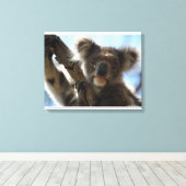 Koala Leinwanddruck (Insitu (Holzboden))