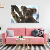 Koala Leinwanddruck (Insitu (Wohnzimmer))