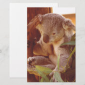 Koala Liebe Briefpapier (Vorne/Hinten)