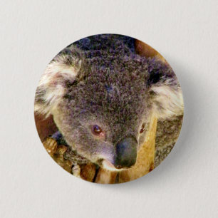 Koala Liebe_ Button